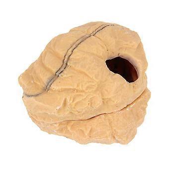 Powerlong Crawler Hiding Cave Forêt tropicale humide Désert Reptiles Maison Taille S