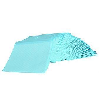 Pet Pee Pads Diapers Pet Training Wee Pads for Cleaning 20Pcs