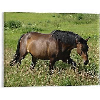 Moderne prints dierenpaard bruine puzzel boerderijstijl voor huis wasruimte decoratie VV670
