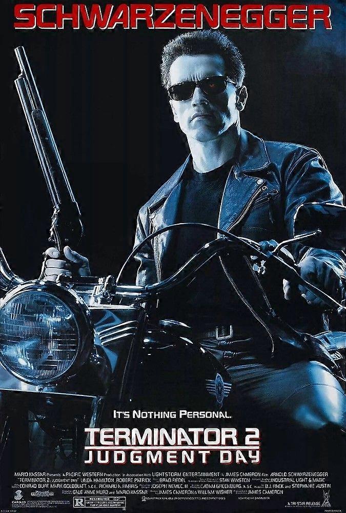 Terminator 2 Fun and educational puzzles Y087