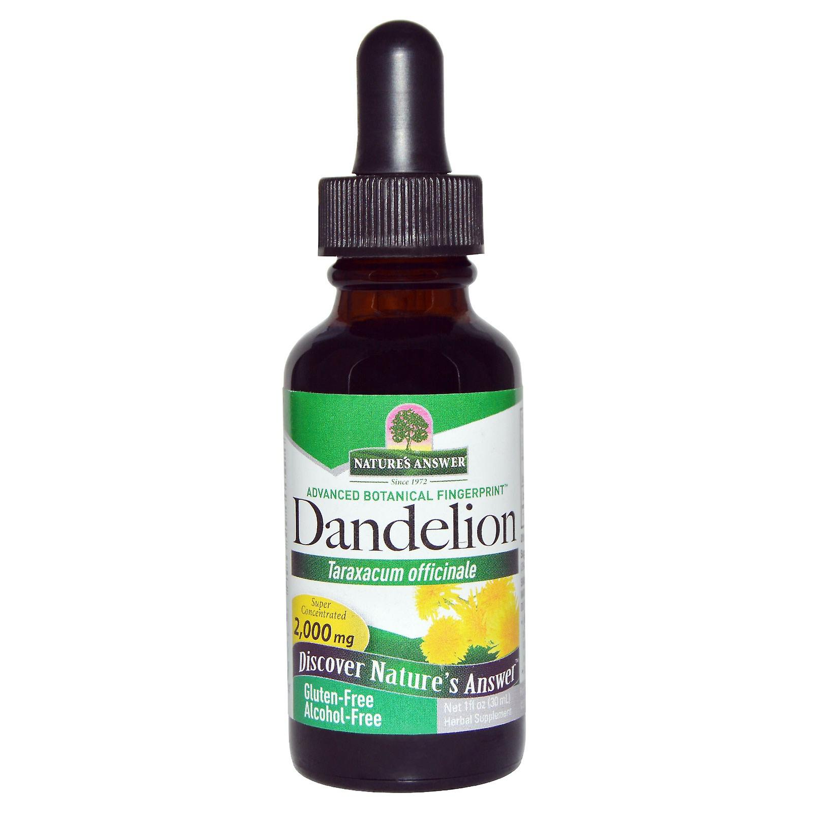 Dandelion, Sans alcool, 2000 mg (30 ml) - Nature-apos;s Réponse