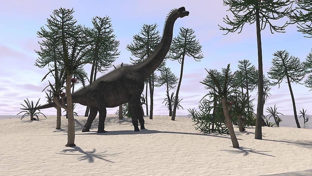 Large Brachiosaurus in a tropical environment. Poster