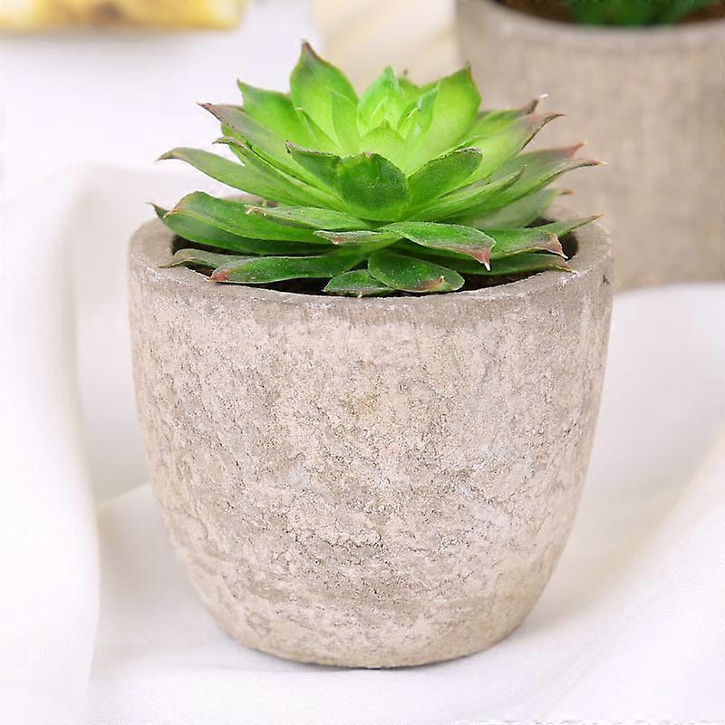 Plastic Artificial Succulent Plants Fake Decorative Ball Plants Simulation Mini Mini Artificial Bonsai for Home Decor