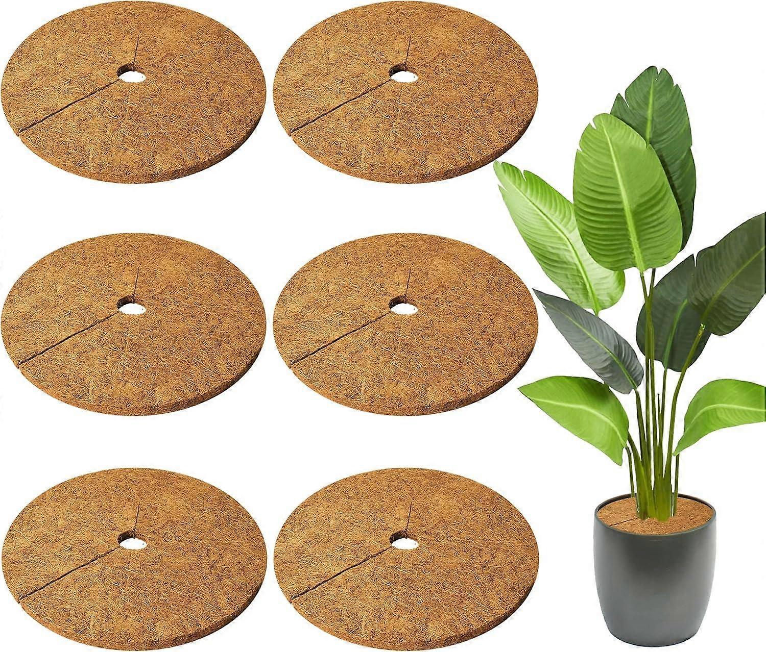 6 PCS 12" Dia Coconut Fibers Tree Mulch Ring Mat