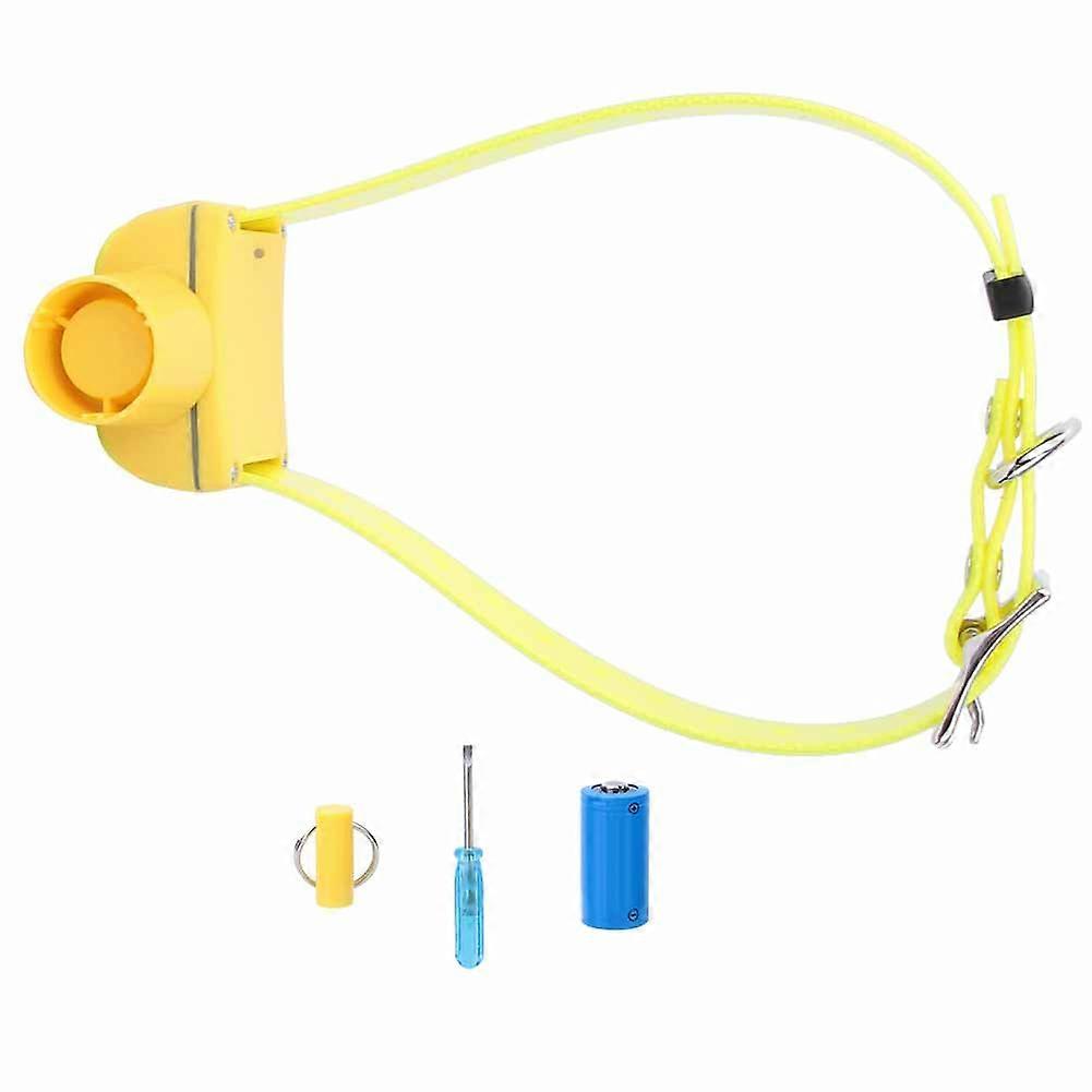 Waterproof Electric Pet Dog Training Collar with Remote