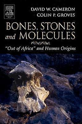 Bones Stones and Molecules