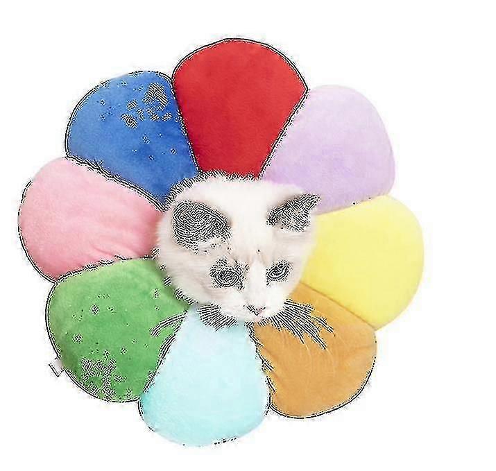猫と犬の太陽の花医療カラーアンチ咬傷とアンチ舐めペット用品