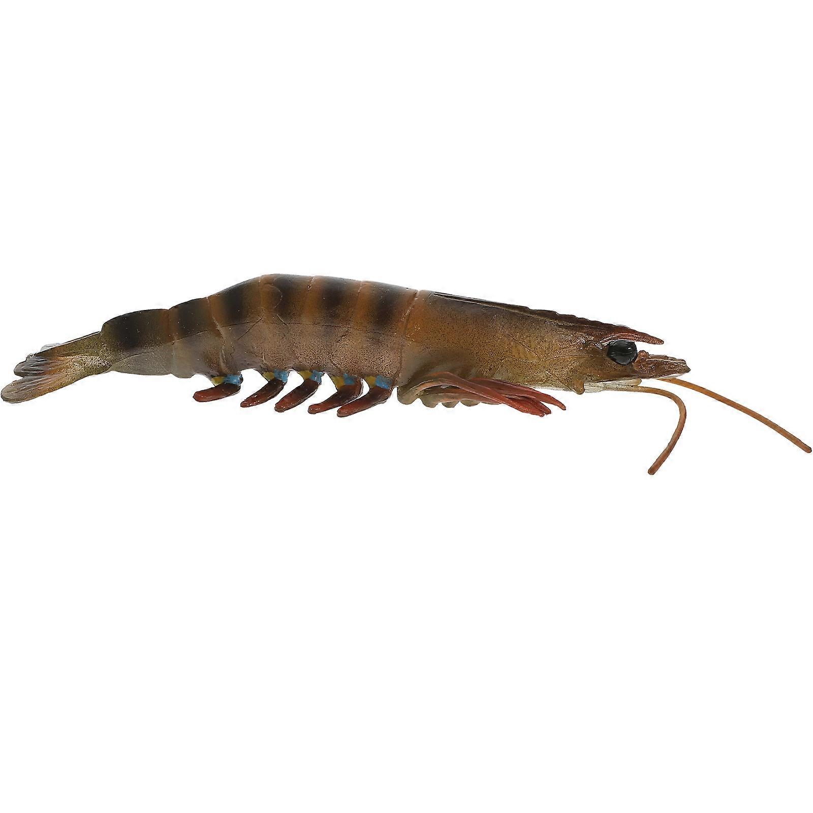 Realistic Shrimp Toy for Pretend Play and Educational Purposes in Assorted Colors Plastic 3 5 inches