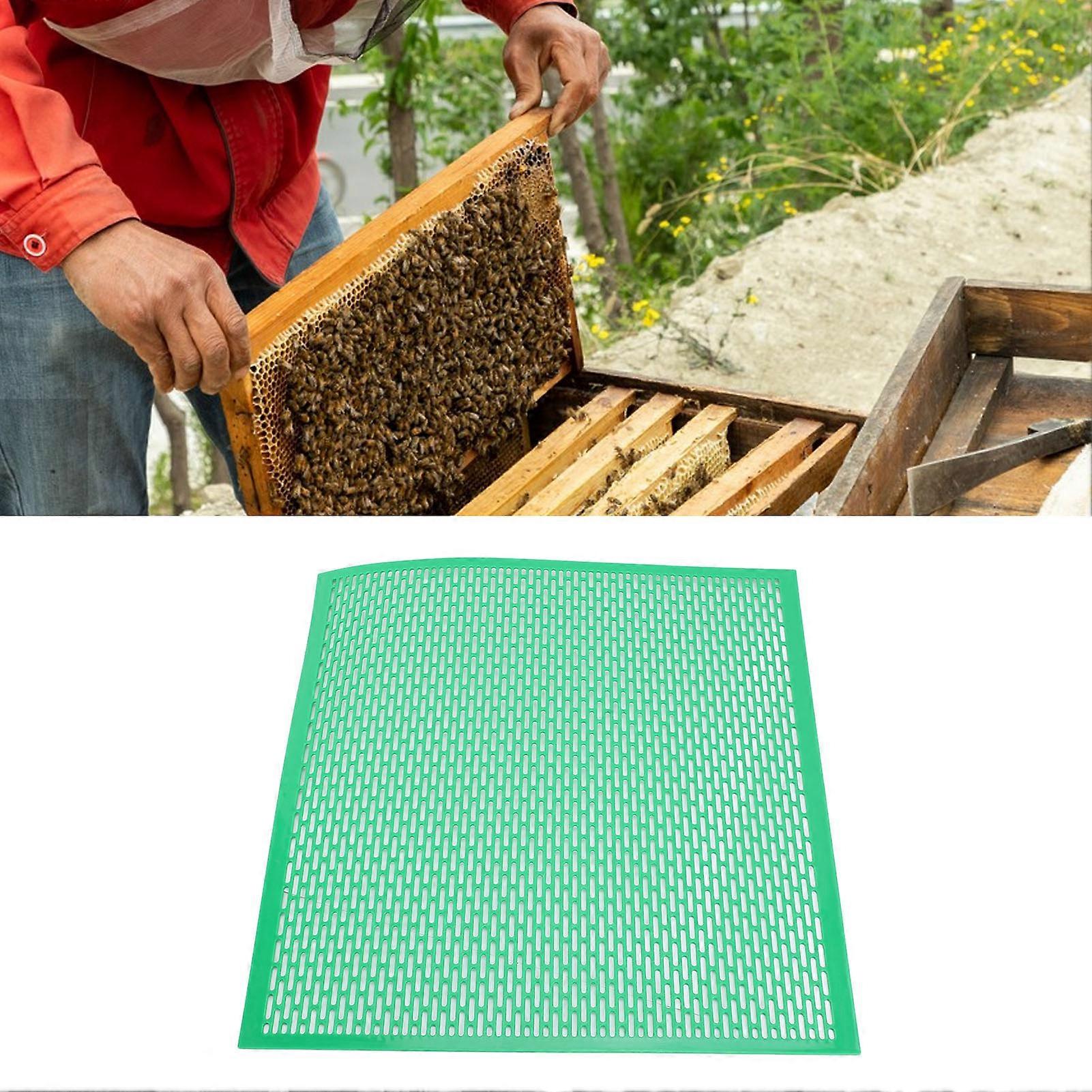12PCS Beekeeping Plastic Excluder 18.11x18.11in Green Bee Separator