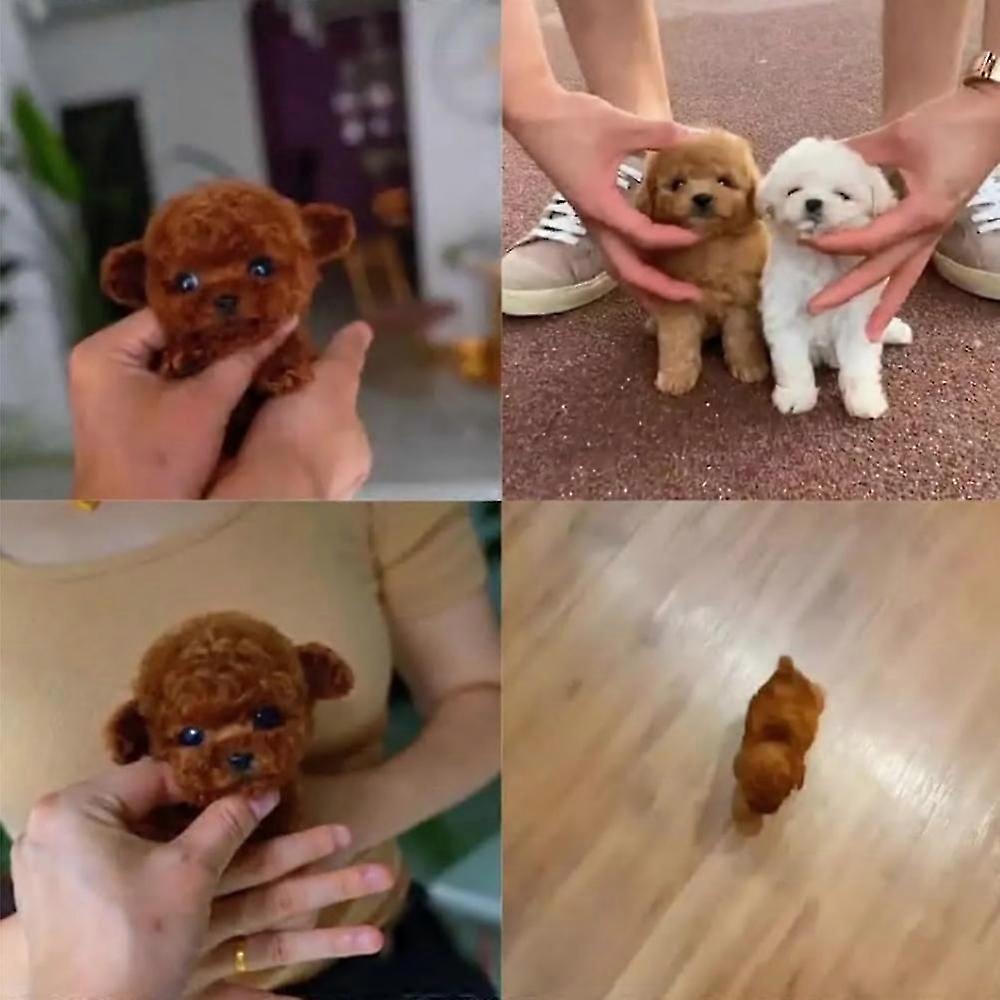 Nicoo AI Robotic Dog for Adults - 2025 Model, Realistic Puppy with Walking, Barking, and Tail Wagging Features