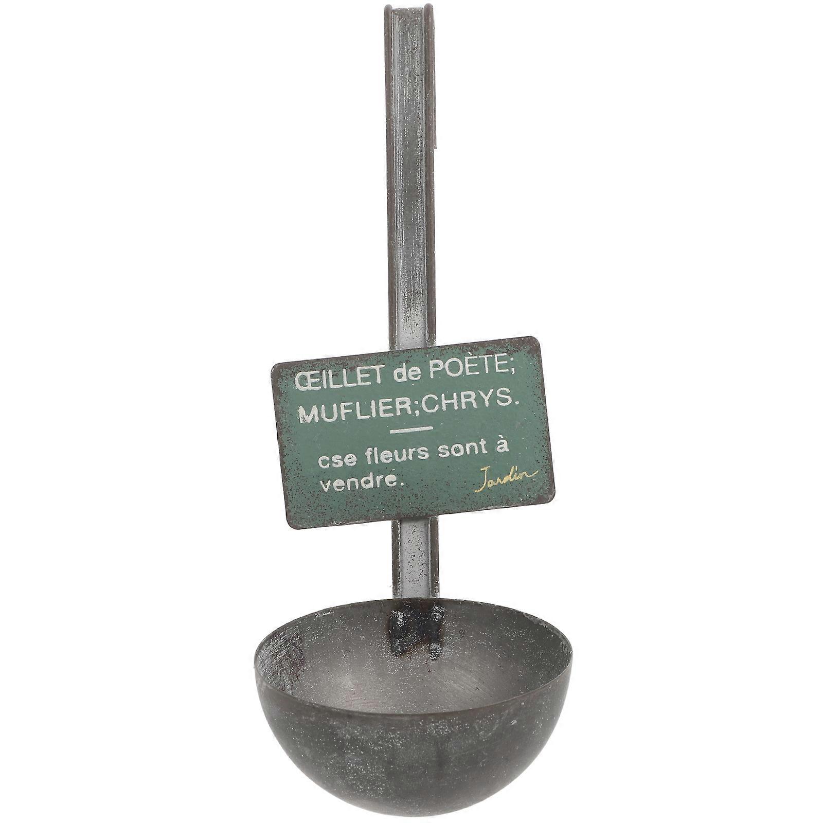 Decorative Iron Planter Novelty Flower Pot for Decor Silver