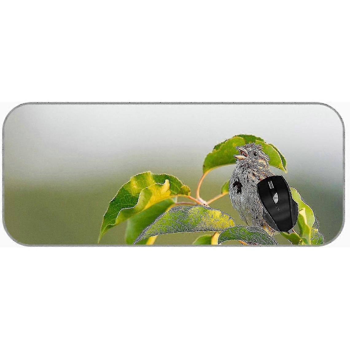 (750x300x3) Xxl Pad Extend