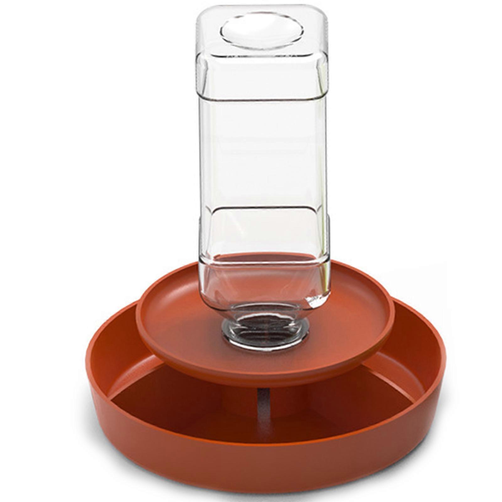 Tiered Transparent Reptiles Feeder With Automatic Water Refilling Space Efficient Design Technology  S satsuma