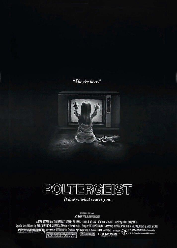 PoltergeistStress Reliever Jigsaw Puzzle EB 0912