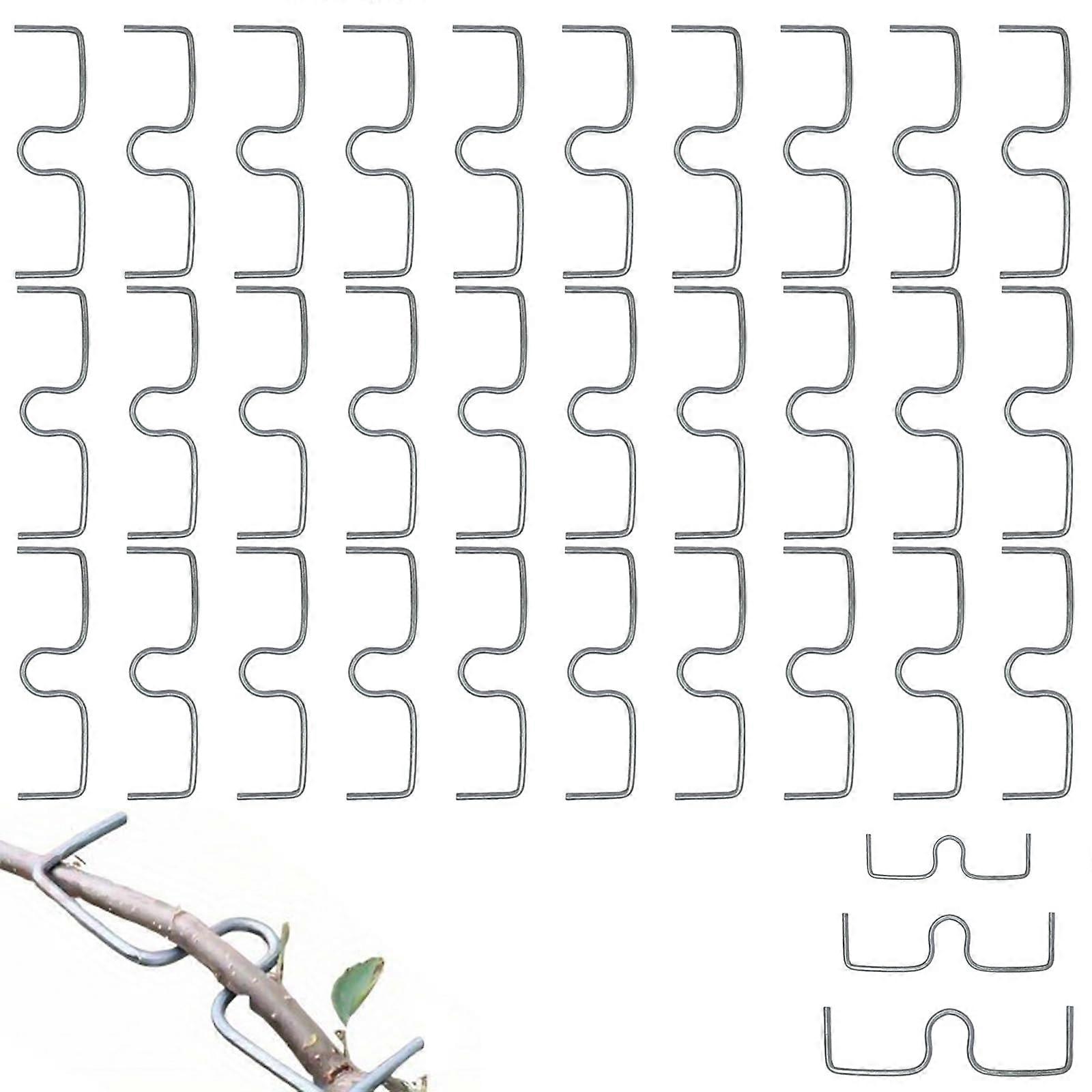 30 Pcs Galvanized Steel Fruit Tree Branch Spreader and Bender Tool for Precision Shaping