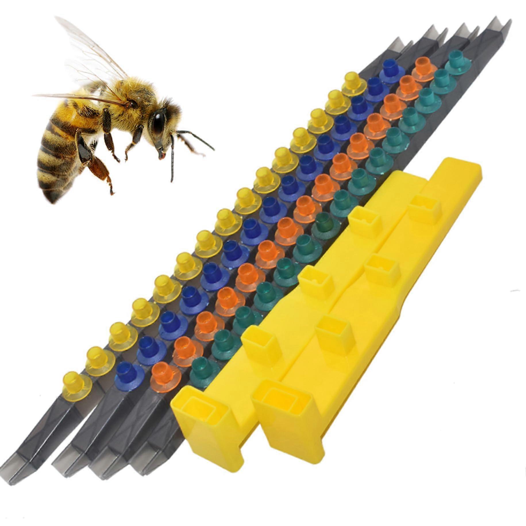 Beekeeping Starter Kit with Queen Cell Cup Holders, Folding Bee Hive Frames for Beginners