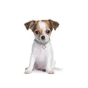 Crystal Pet Collar Heart Pattern Dog Necklace with Charm for Pet Puppy 1Pcs