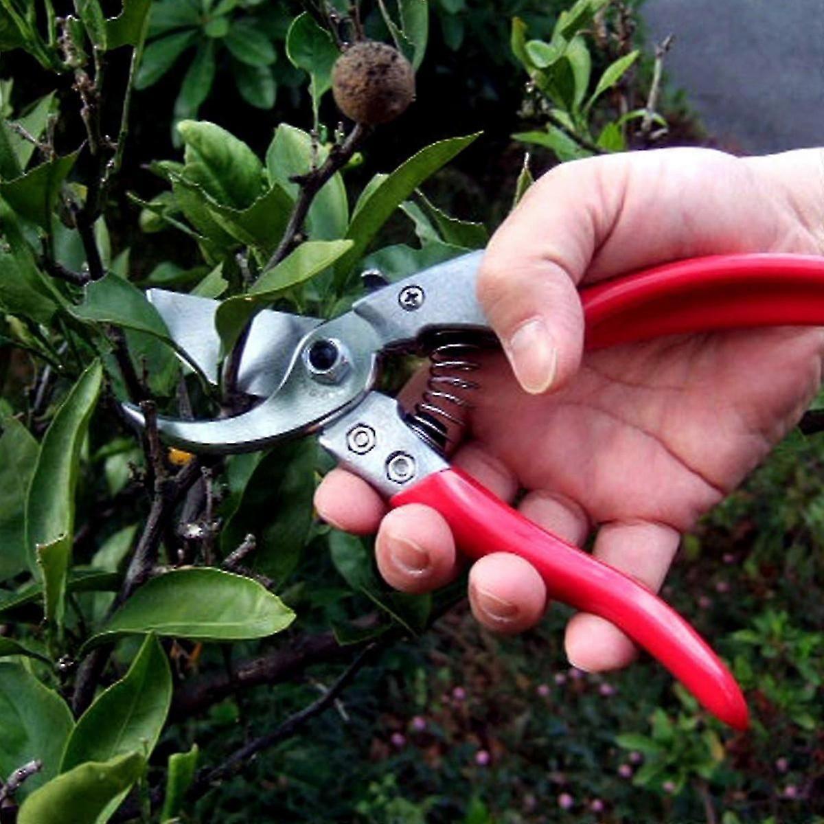 vs-8z, pruning shears, ARS-VS-8XZ