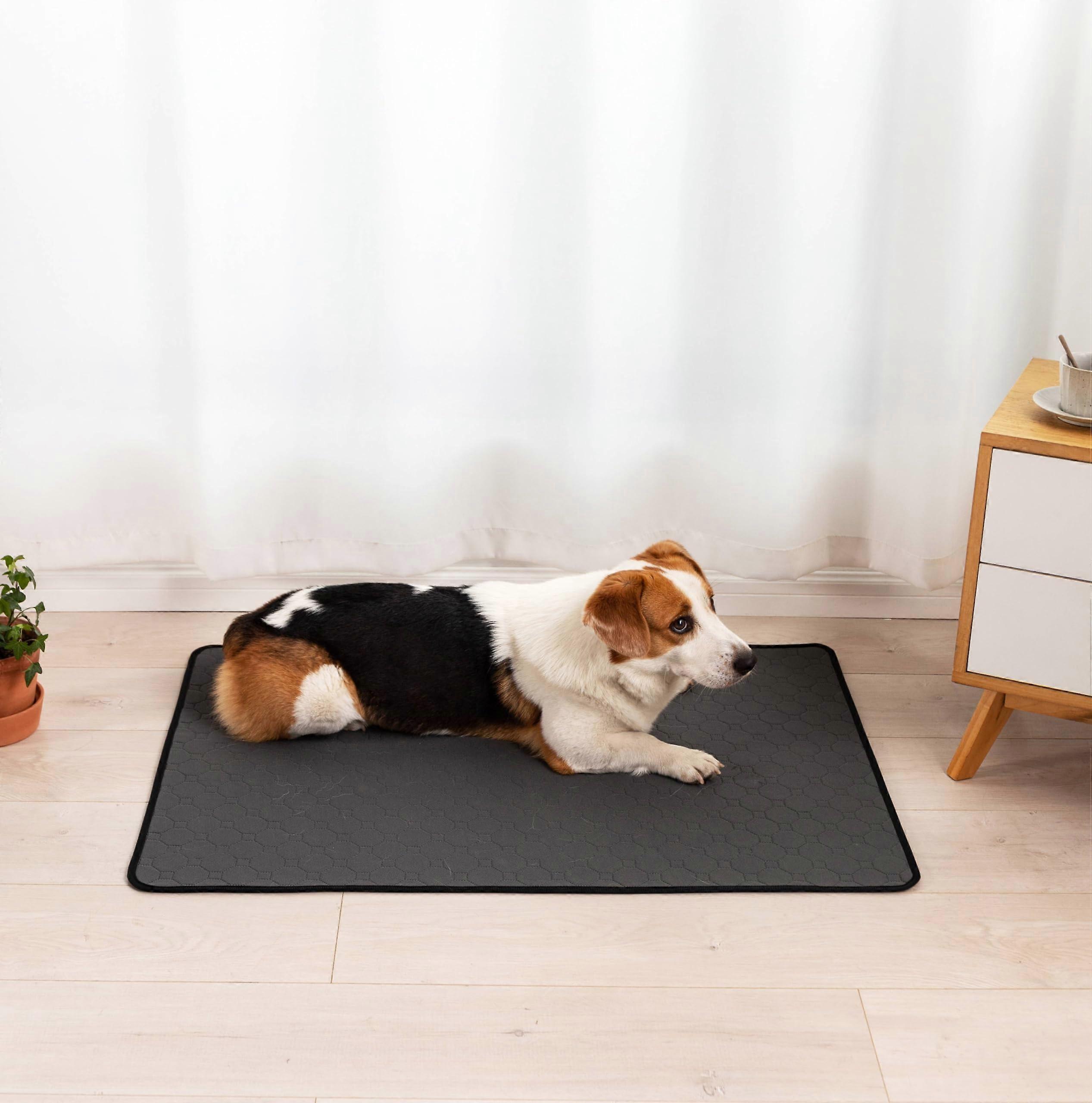 High-Absorbency Non-Slip Dog Pad