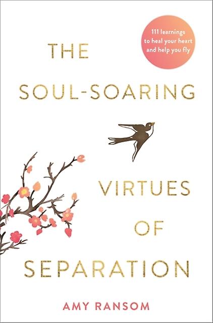 The Soulsoaring Virtues Of Separation by Amy Ransom Paperback