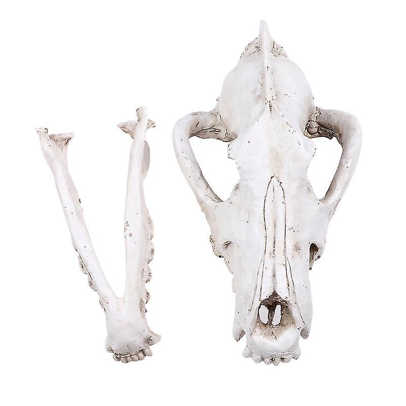 1pcs Wolf Skull Decor
