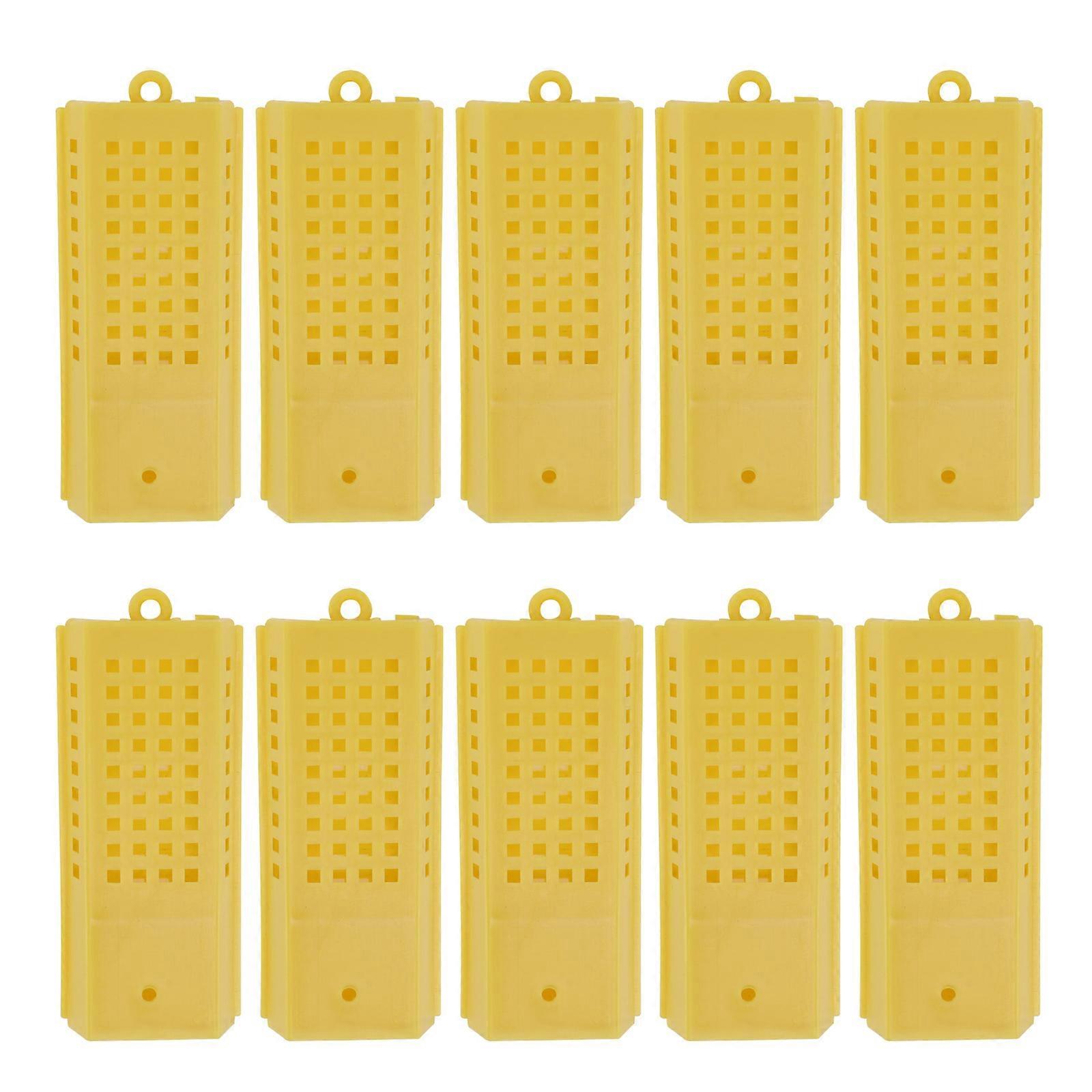 10pcs Practical Bee Tool Creative Queen Bee Box Queen Bee Catch Cage Beekeeping Tool
