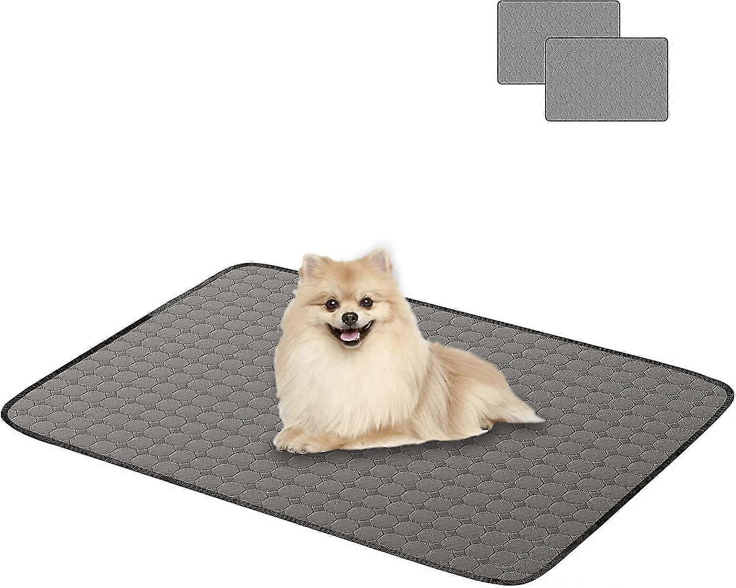 Reusable Pet Training Pads, H2-pack Premium Water Absorption Dog Pee Mats