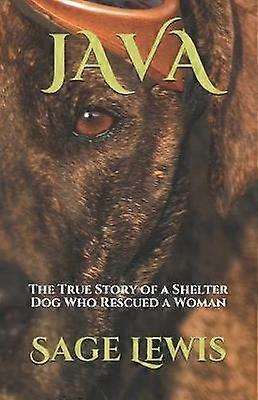 JAVA Die wahre Geschichte eines Tierheimhundes, der eine Frau rettete