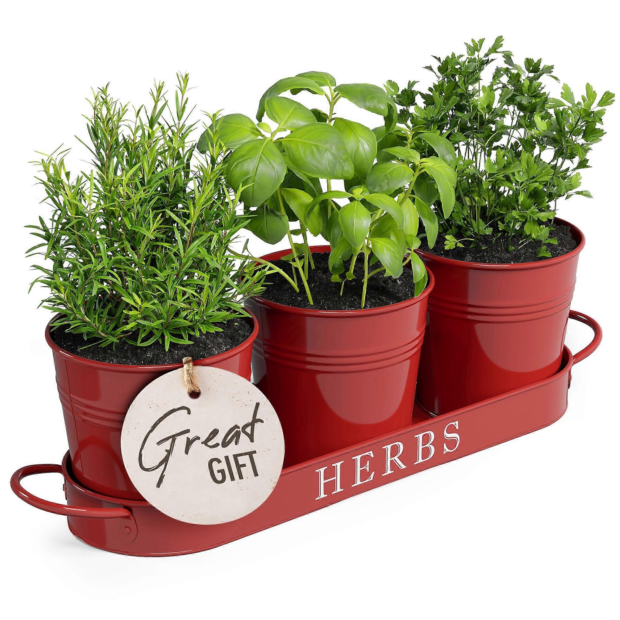 Brick Red Indoor Herb Planter Set of 3 with Tray, Durable Ceramic Pots for Kitchen Windowsill Gardening