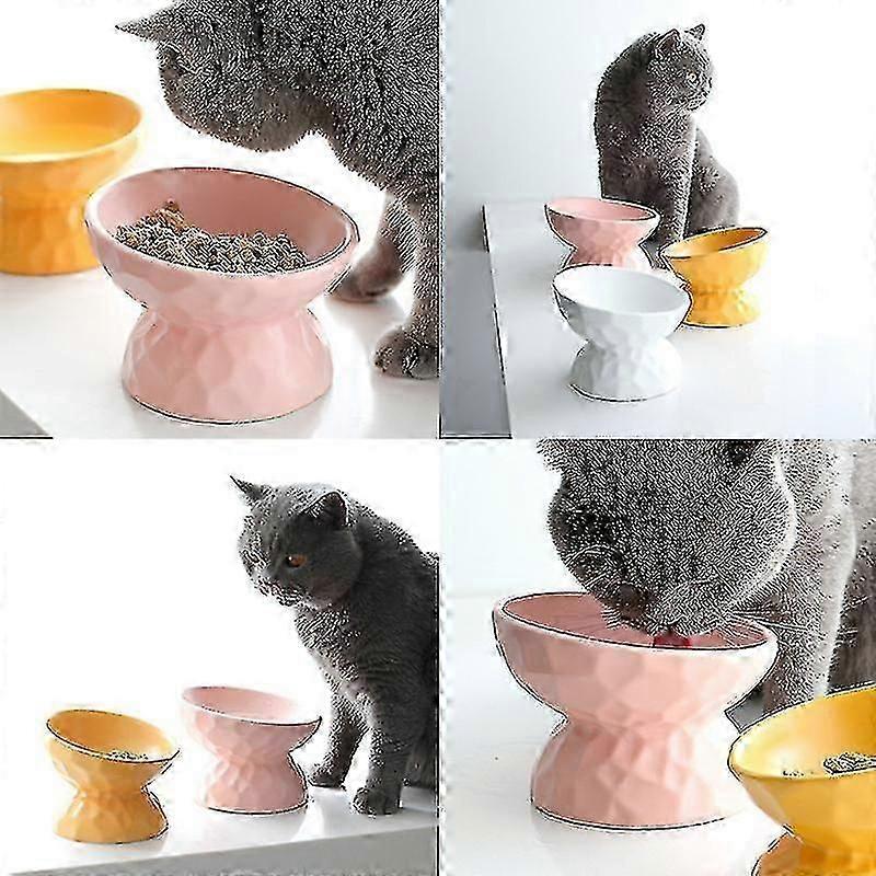 קערת חתול זוויתית קרמית להאכלה והשקיה ללא מתח