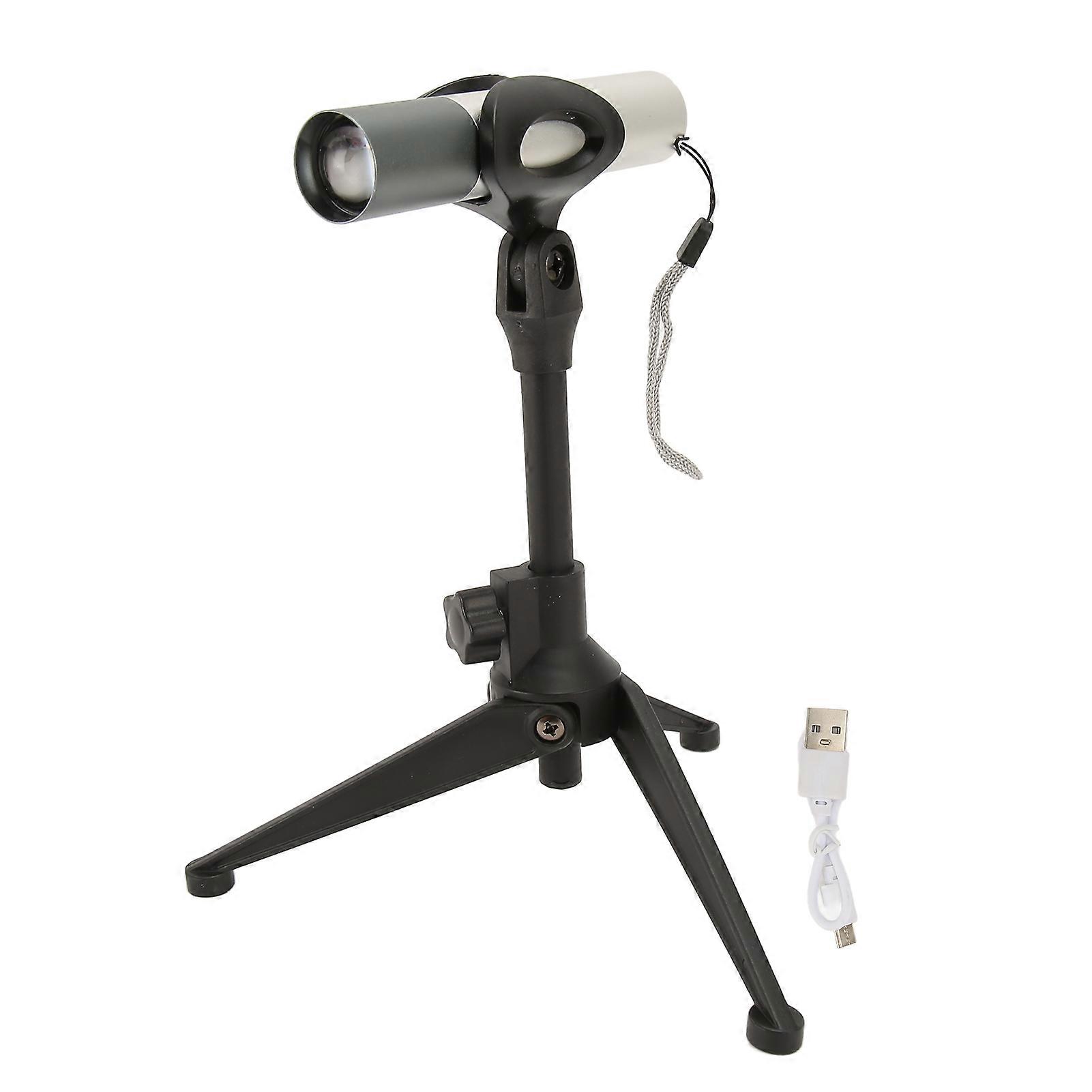 Ray with Stand Single Light Source Infrared Red Lighting Retractable Handheld Treated Device for Body Silver