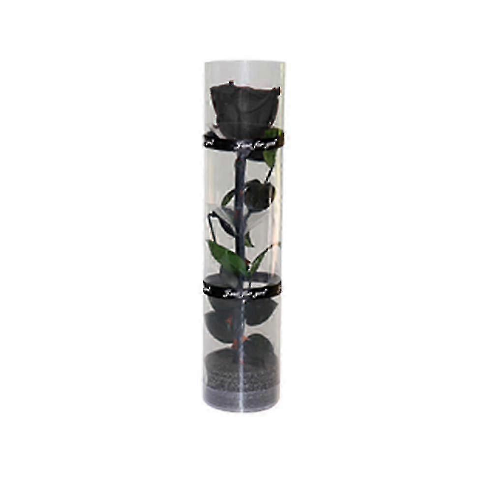 Une vraie rose préservée, une rose éternelle, une rose durable, une rose à floraison éternelle
