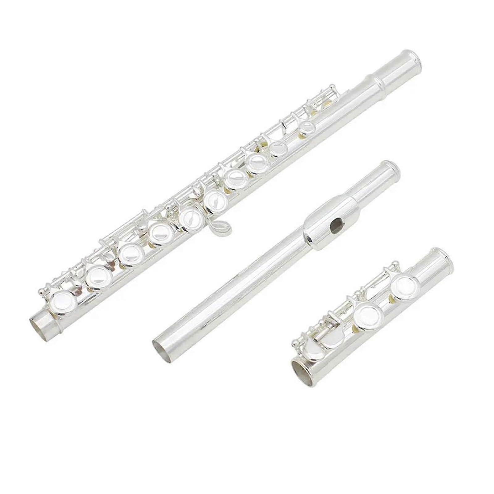 C Key 16hole Professional Transverse Flute with Closed/Open Holes Concert Music Instrument (Includes Case, Cleaning Rod, Gloves, and Cloth)