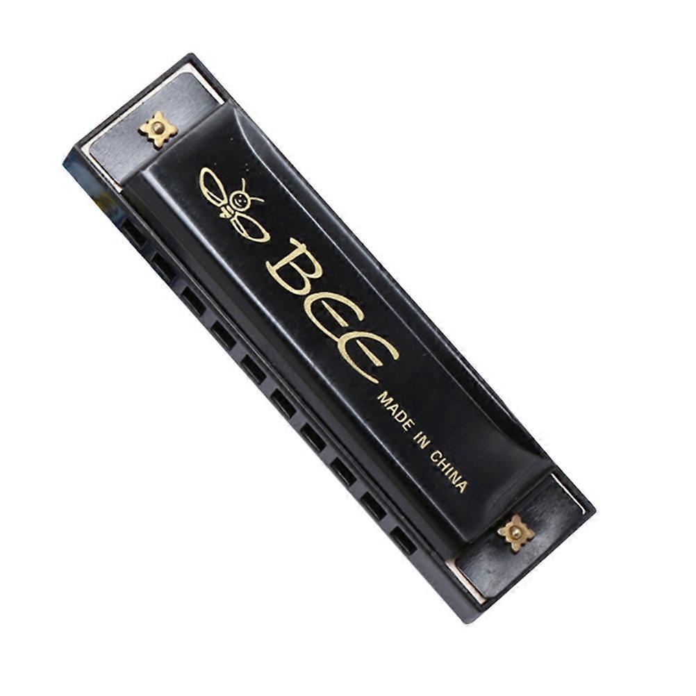 Black Plastic Harmonica for Playing 10 Hole Music Instrument for Beginner Kids Gift