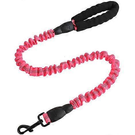 Reflective Extendable Dog Leash, Elastic Dog Training Leash
