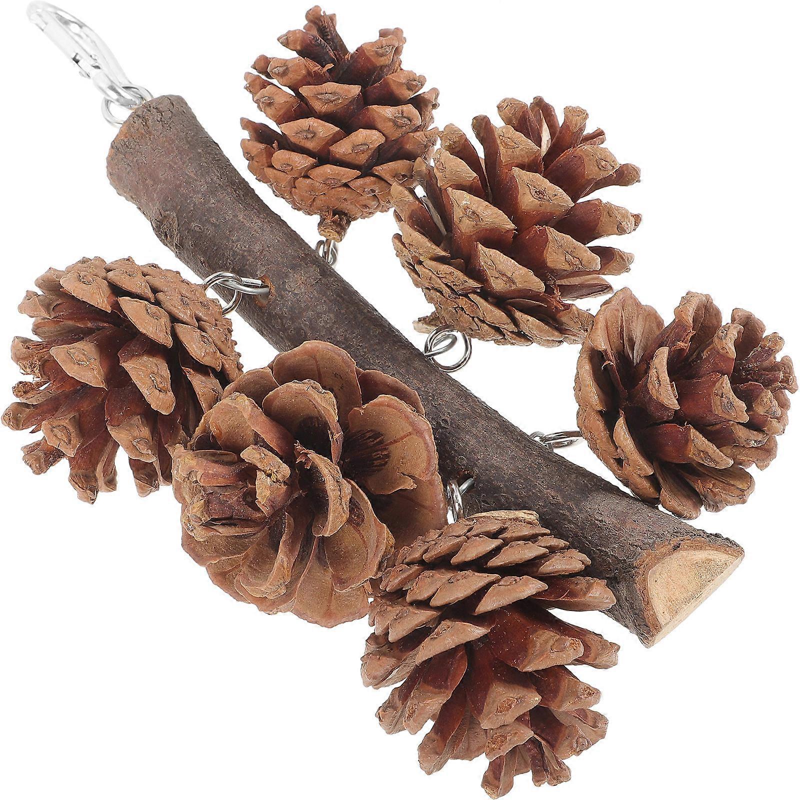 Parrot Hanging Chewing Toy Bird Chewing Toy Set with 4Pcs Pine Cones for Birds