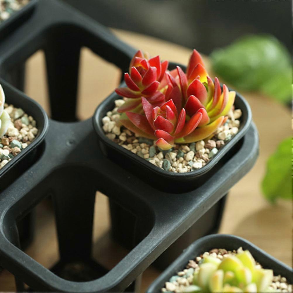 Succulent Holder Bracket Plastic Planter Pot Tray for Gardening 2Pcs