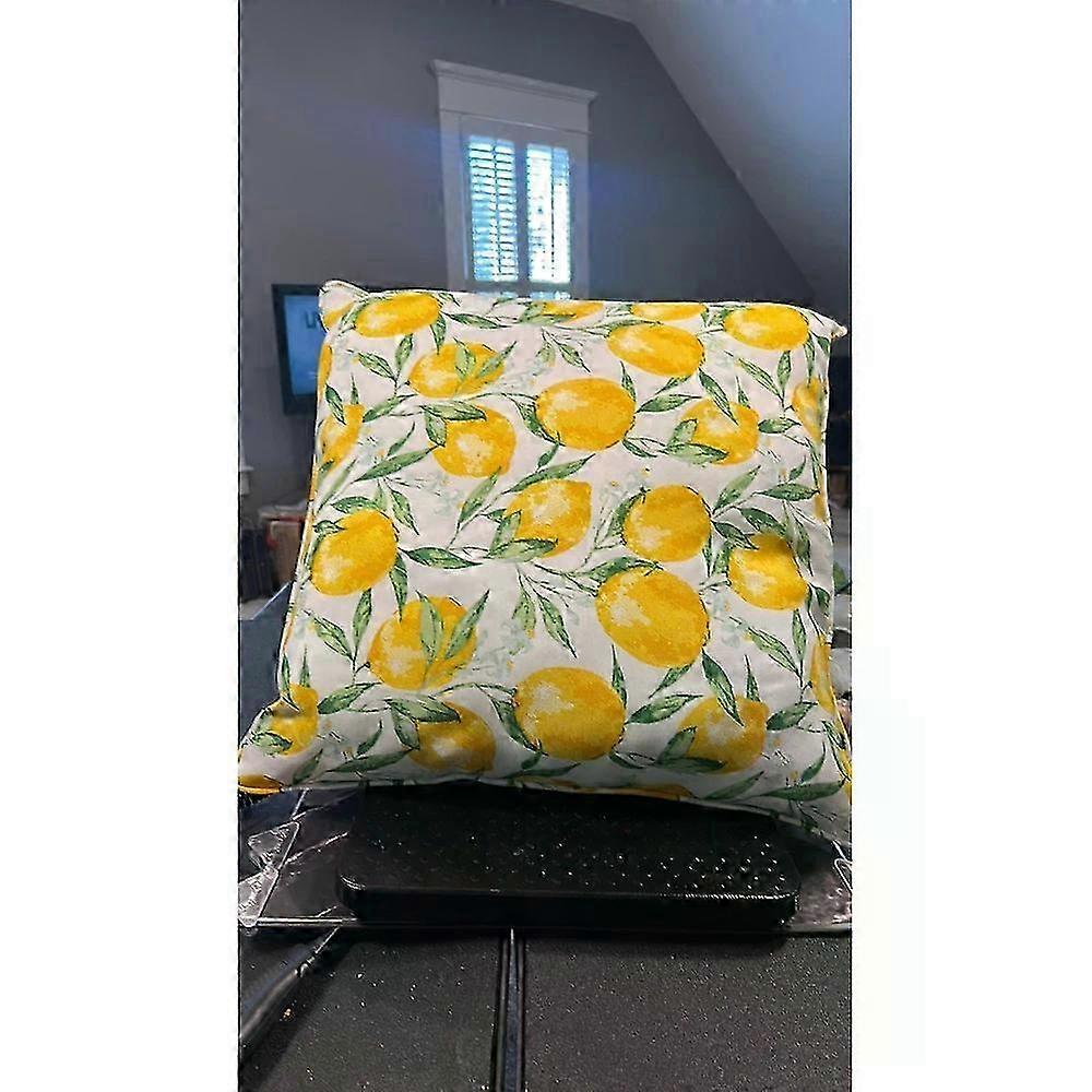 Lemon Pillow