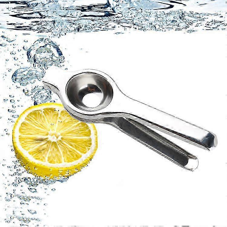 Kitchen & Bar Stainless Steel Lemon Orange