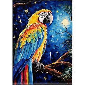 Quebra-cabeça Arara Noite Estrelada AZQ790