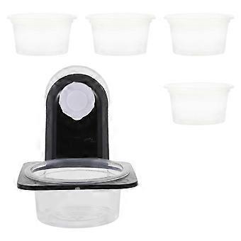 1 Set Rettili di plastica Acqua alimentare Alimentazione ciotola allevamento serbatoio Ventosa Alimentatore