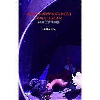 Brimstone Valley Hardcover Book