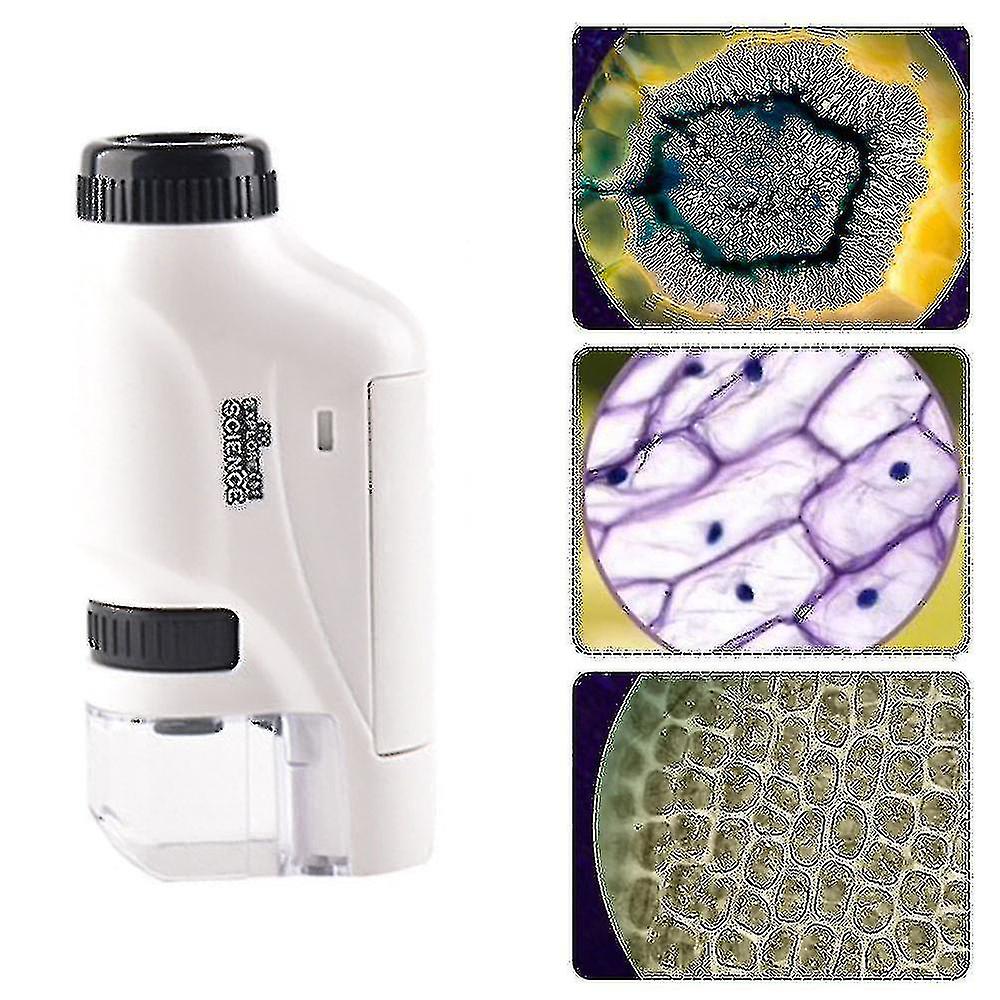 Microscope portable 60-120x Microscope de poche Led Light Microscope portable