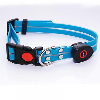 LED Light Up Dog Collar - 1,000 Feet of Visibility - Brightest for Night Safety - USB Rechargeable Waterproof Dog Collar Light(Blue)