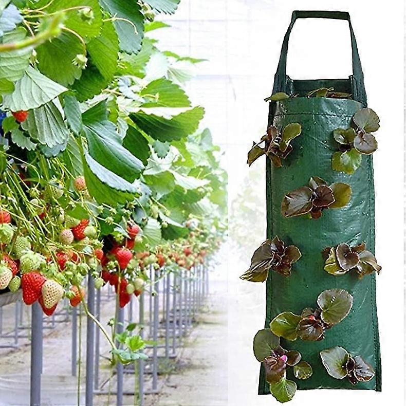 2 Pack 8 Vertical Port Pe Vertical Hanging Bag For Three-Dimensional Seeding