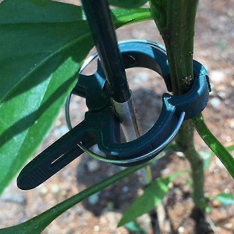 Plant Gardening Flower Supporting Reusable Gripper Clips Tools Stems