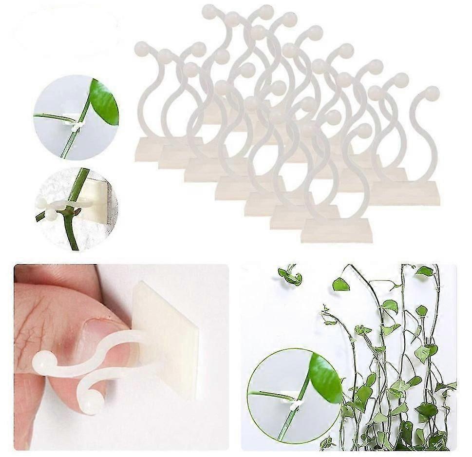 50 τεμάχια κόλλα χωρίς ραφή γάντζο πράσινο ραπανάκι τοίχου αναρρίχησης τοίχου στερέωσης πράσινου φυτού αμπέλου τοίχου στερέωσης πράσινου αμπέλου