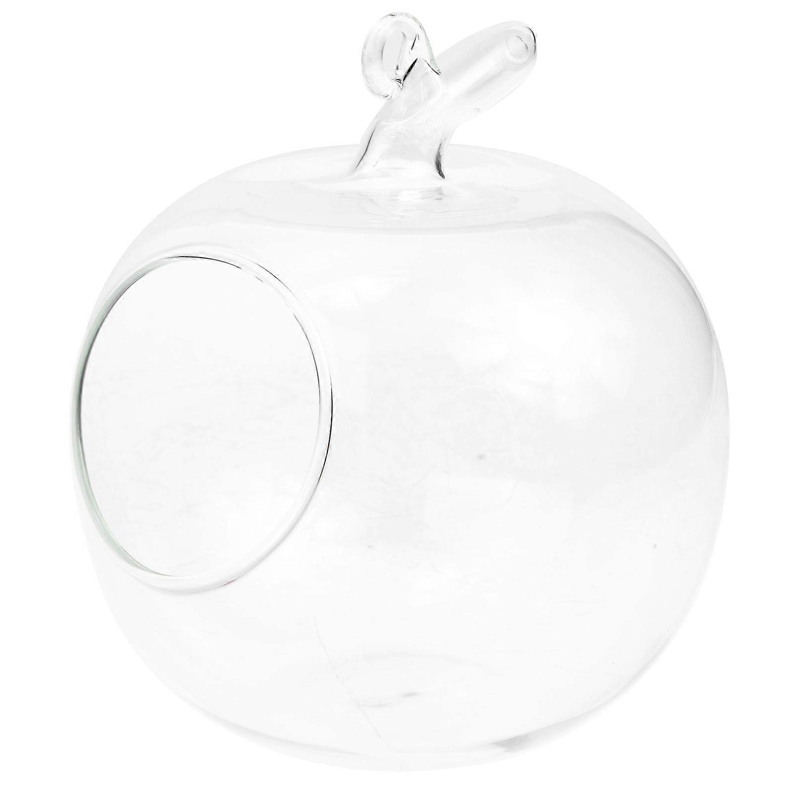 Apple-shape Ecological Bottle Plant Landscape Container DIY Decorative Bottle for Home