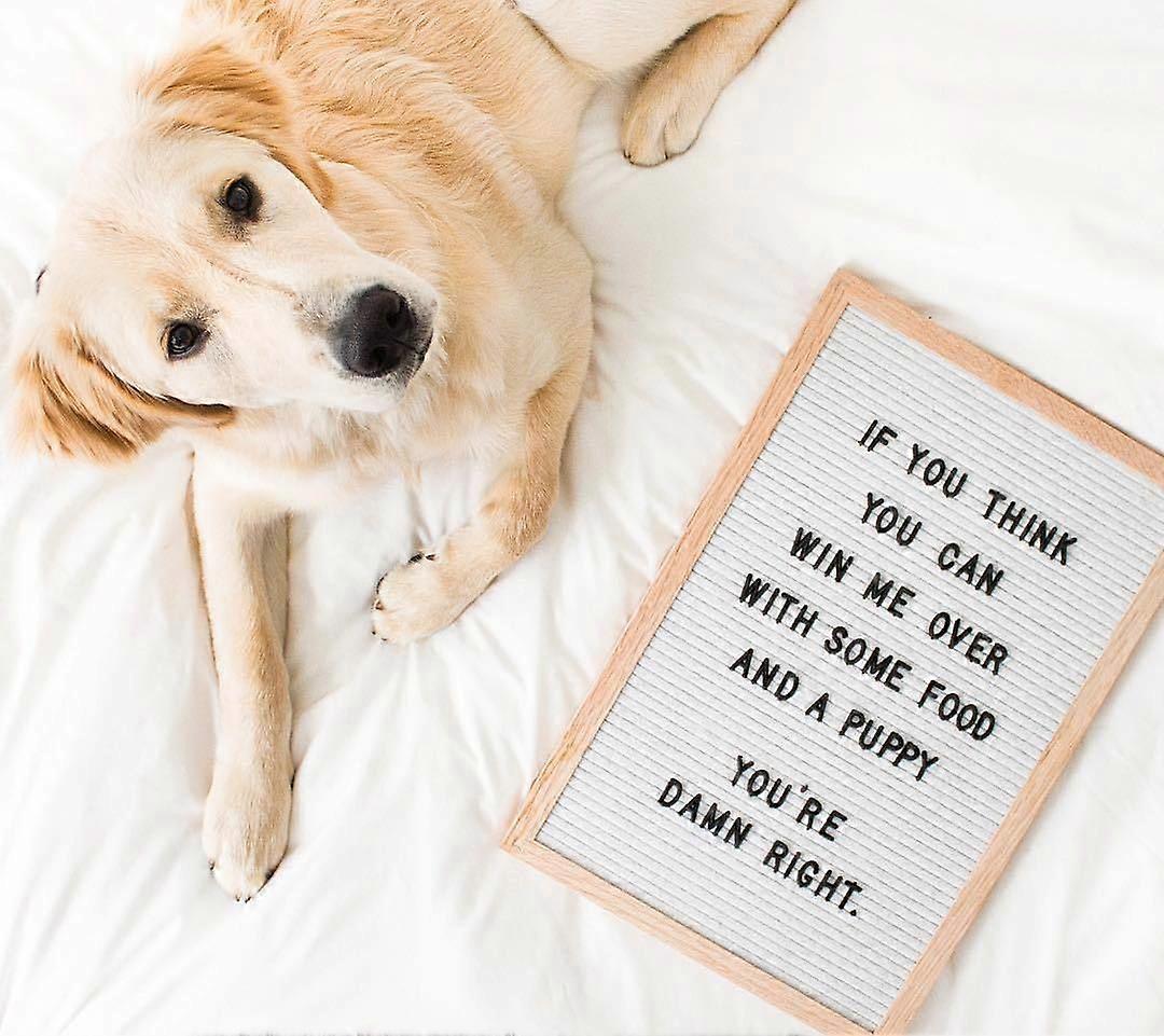 手作りフェルトメッセージボードレターボード、メッセージボードサイン12 * 16インチ