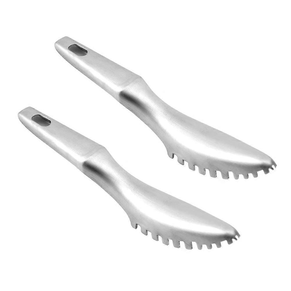 Fish Scale Stainless Steel Scale for Safe Cleaning 2Pcs